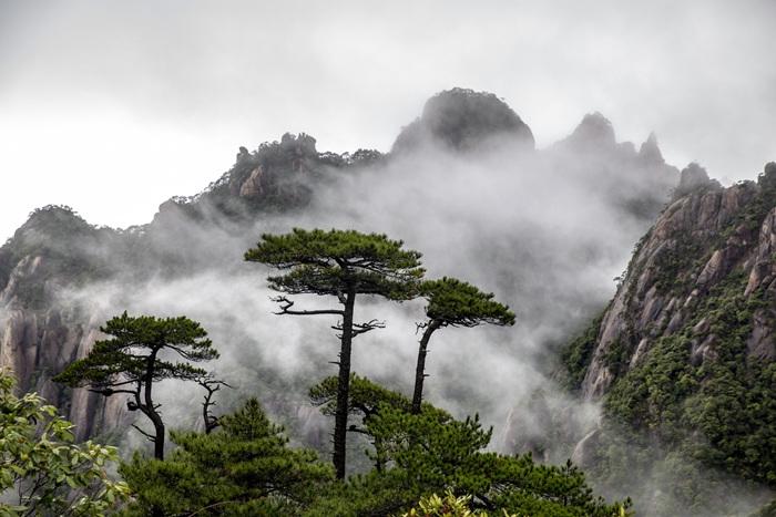 雨中三清山云遮霧繞如水墨畫