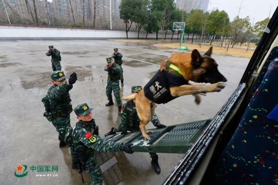 安徽武警備戰(zhàn)春運(yùn)出動(dòng)無人機(jī) 警犬搶鏡